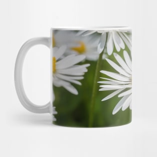 Closeup white daisies Mug